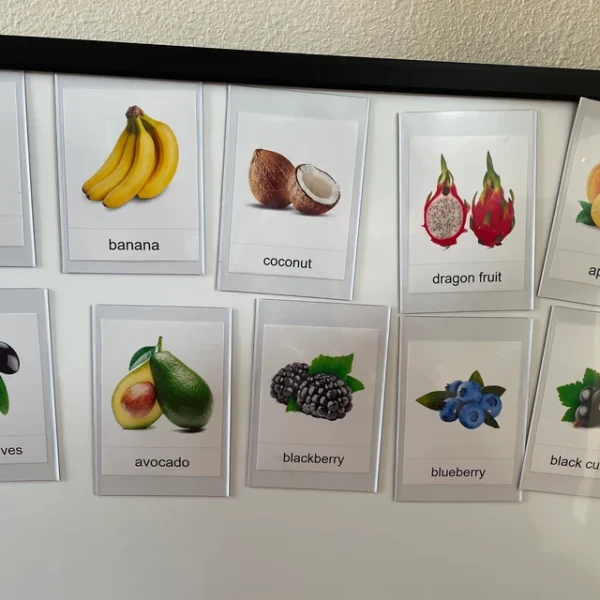 Fruits Galore: 50 Montessori Flashcards (Real Pictures)