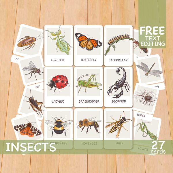 Insects Flashcards: Montessori Printables